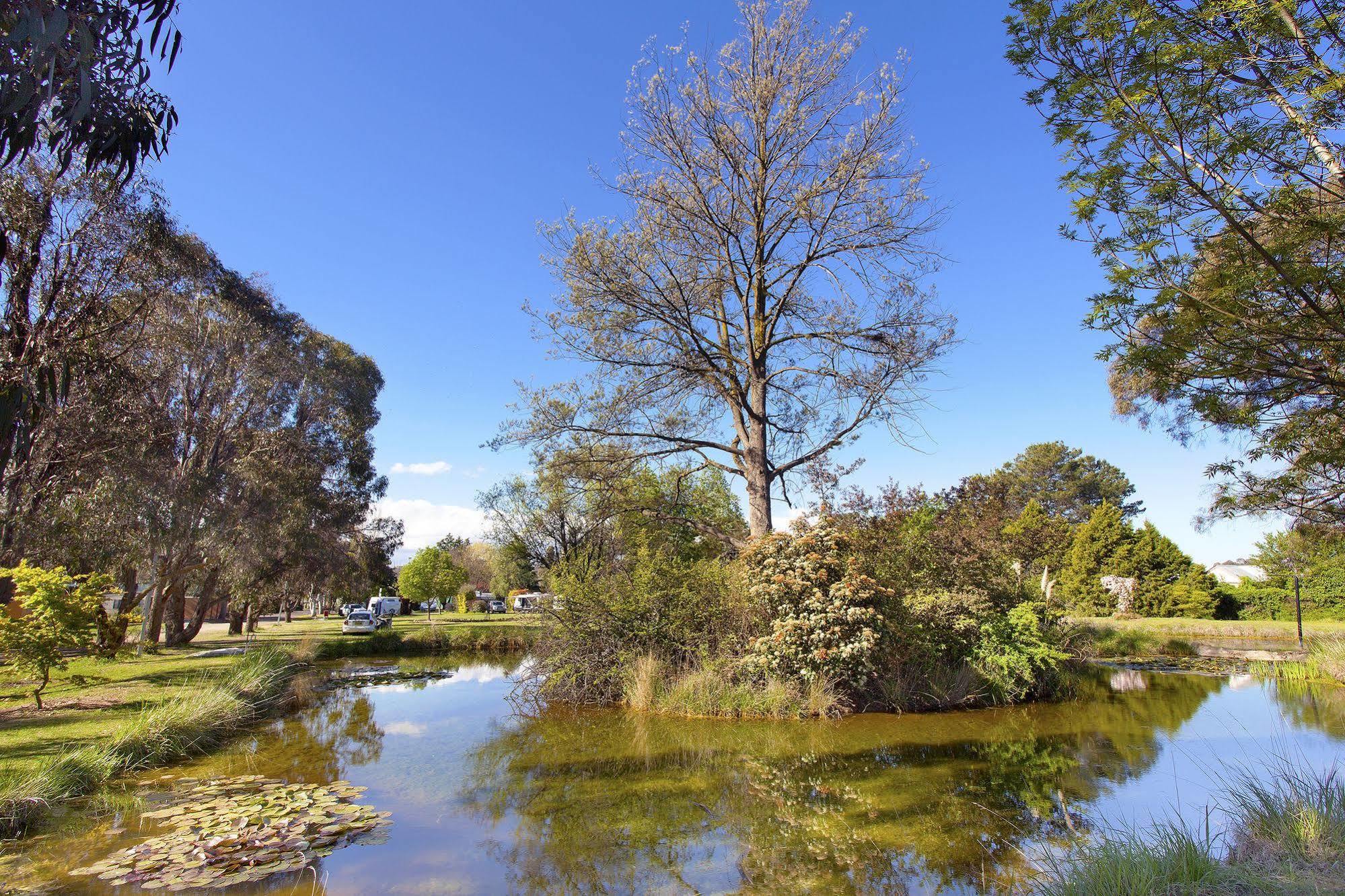 فندق Armidale Tourist Park المظهر الخارجي الصورة